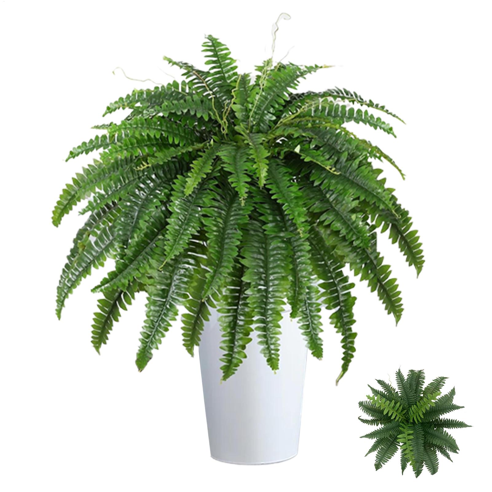 Bonsai Garden Boston - Tanaman Hias Palsu Boston Fern yang