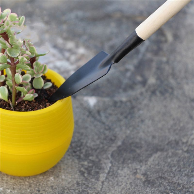 3 Buah Set Alat Bonsai Sekop G - Bonsai Garden Rake ulasan dan harga