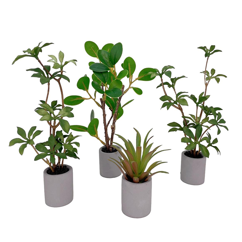 1:6 miniatur rumah boneka Mode - Bonsai Garden Home ulasan dan harga