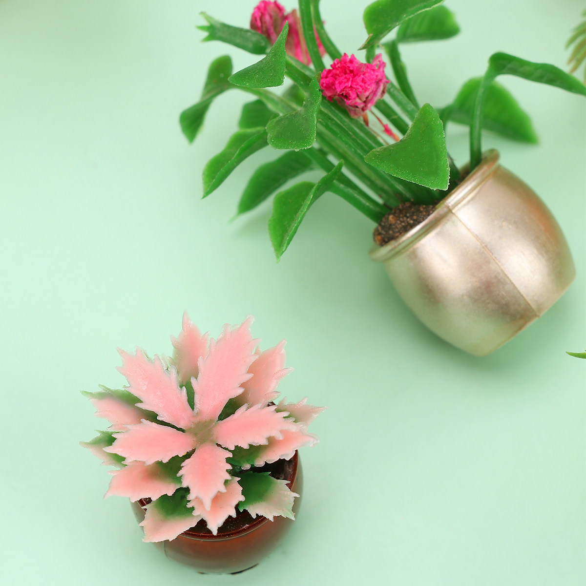 10 Buah Pot Plastik Mini Bonsa - Bonsai Garden Europe ulasan dan harga