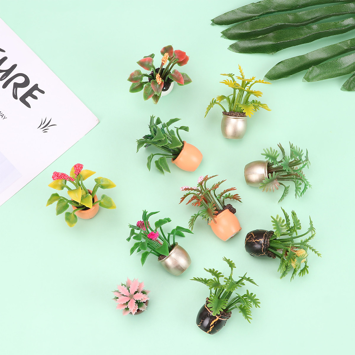 10 Buah Pot Plastik Mini Bonsa - Bonsai Garden Europe ulasan dan harga