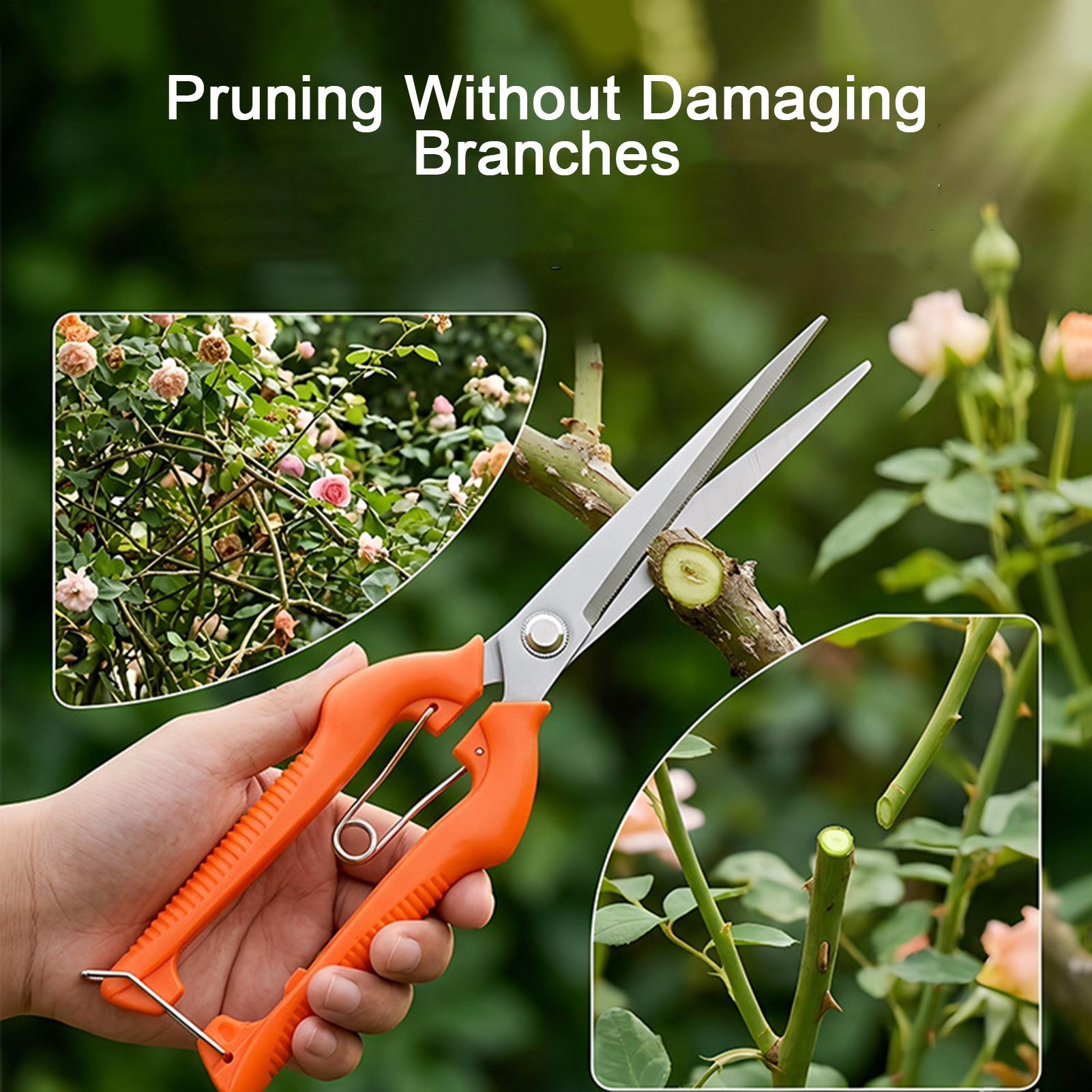 Gunting Pangkas Anggur Gunting - Bonsai Garden Rake ulasan dan harga