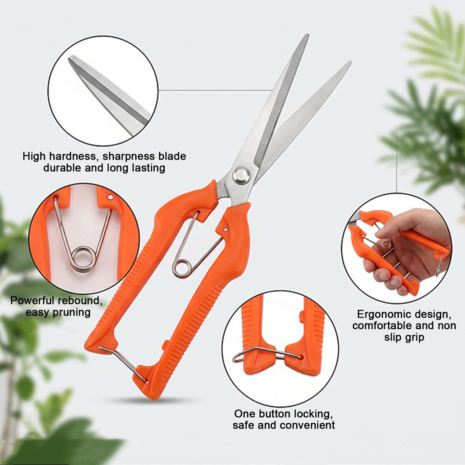 Gunting Pangkas Anggur Gunting - Bonsai Garden Rake ulasan dan harga