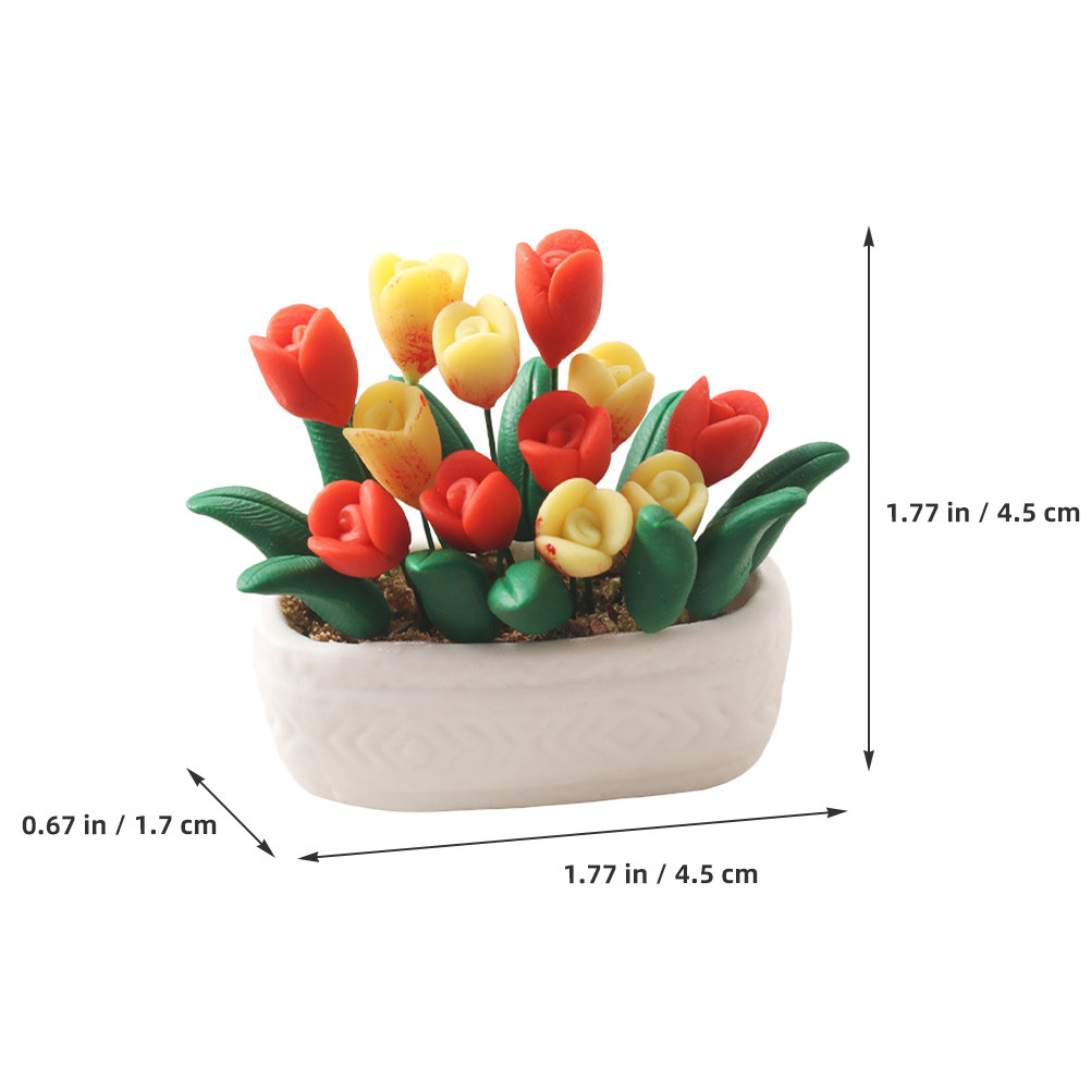 Dekorasi Tanaman Mini Tulip da - Bonsai Garden Europe ulasan dan harga