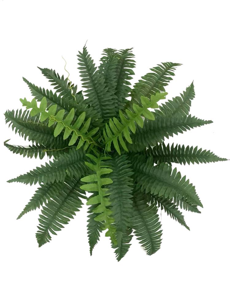 Tanaman Plastik Palsu Pakis Bo - Bonsai Garden Boston ulasan dan harga