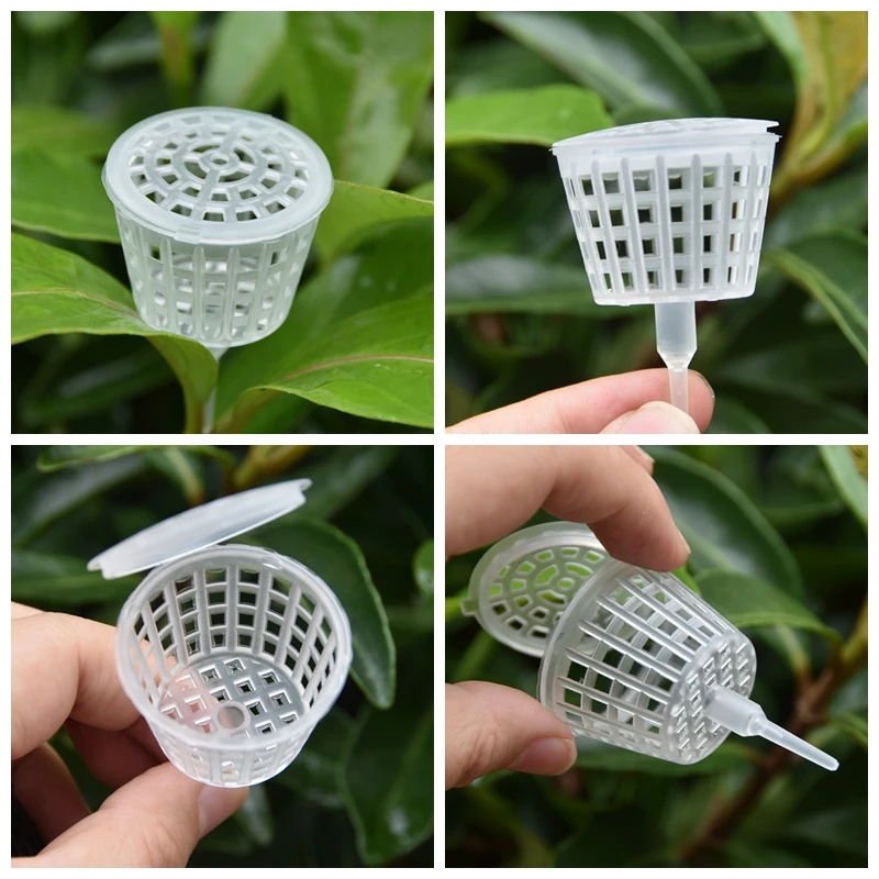 20/50 Buah Keranjang Pupuk den - Bonsai Garden Of Ct ulasan dan harga