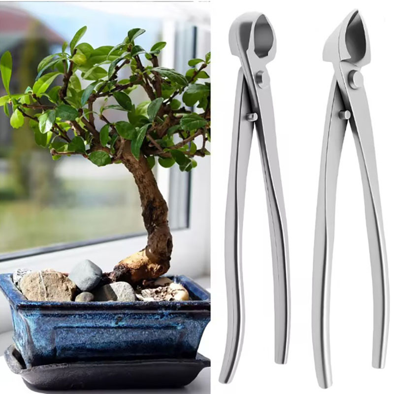 2pcs Set Alat Bonsai Baja Taha - Bonsai Garden Rake ulasan dan harga