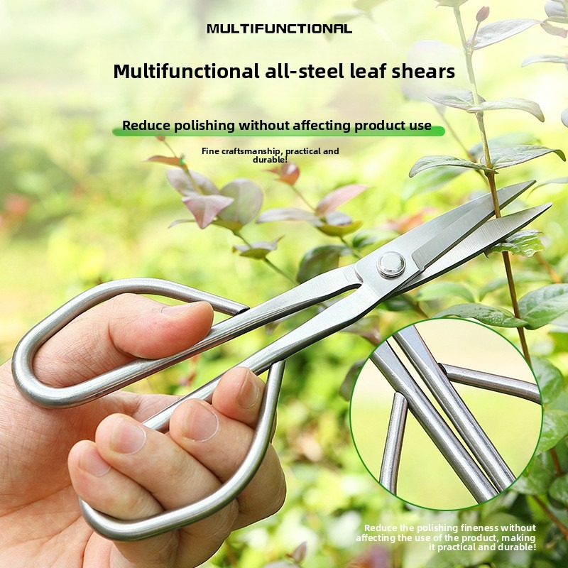 Gunting Daun Muda Alat Bonsai  - Bonsai Garden Rake ulasan dan harga