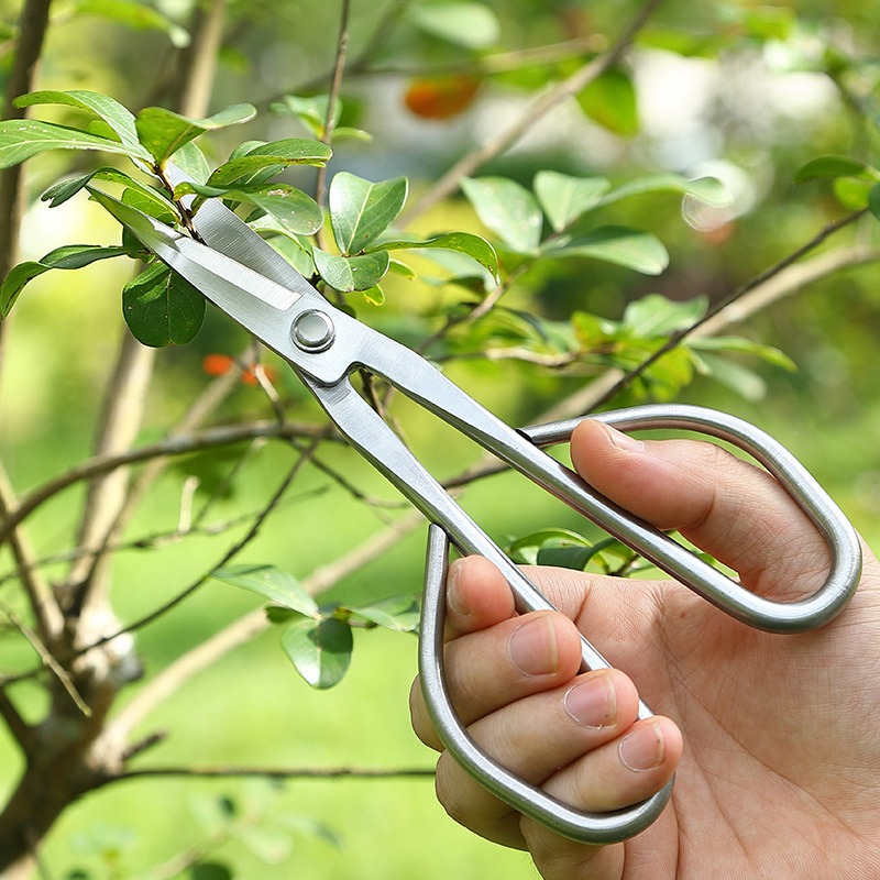 Gunting Daun Muda Alat Bonsai  - Bonsai Garden Rake ulasan dan harga