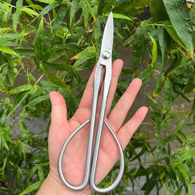 Gunting Daun Muda Alat Bonsai  - Bonsai Garden Rake ulasan dan harga