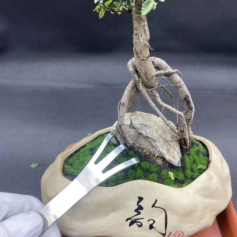 1Pc Garpu Akar Baja Tahan Kara - Bonsai Garden Rake ulasan dan harga