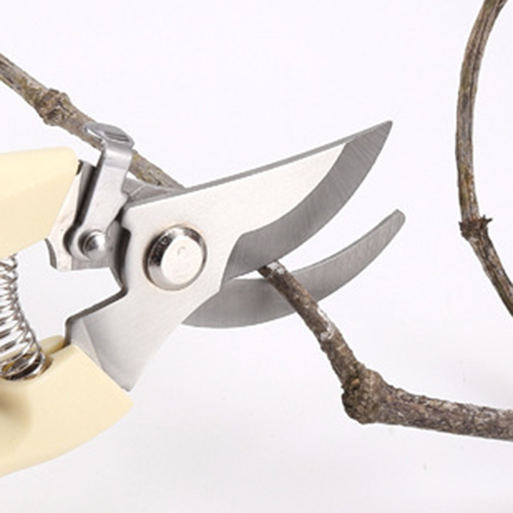 Pruner gunting tangan Bonsai,  - Bonsai Garden Rake ulasan dan harga