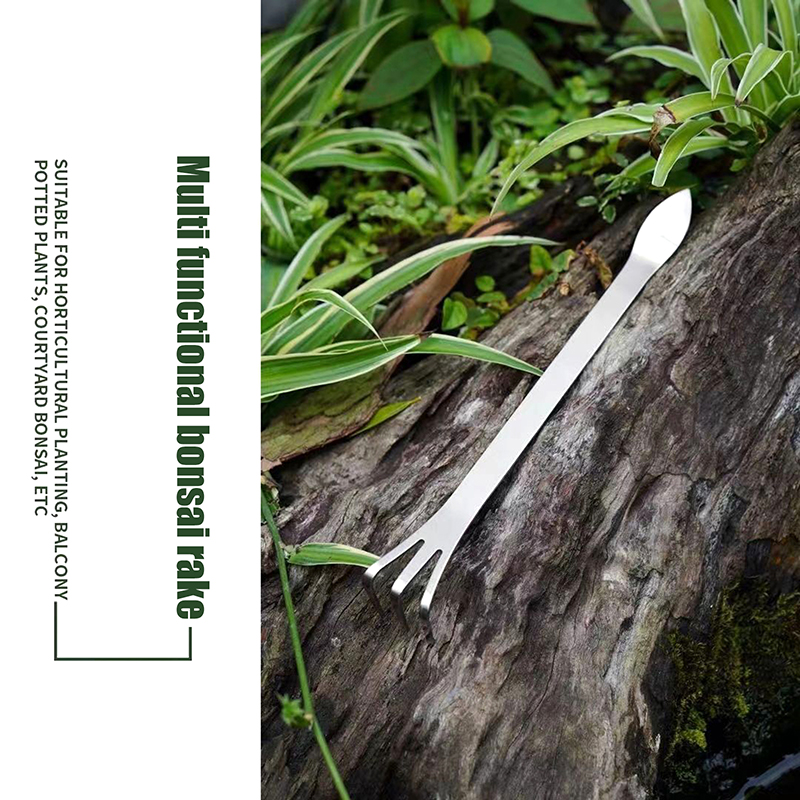 1 buah tanaman pot Bonsai akar - Bonsai Garden Rake ulasan dan harga