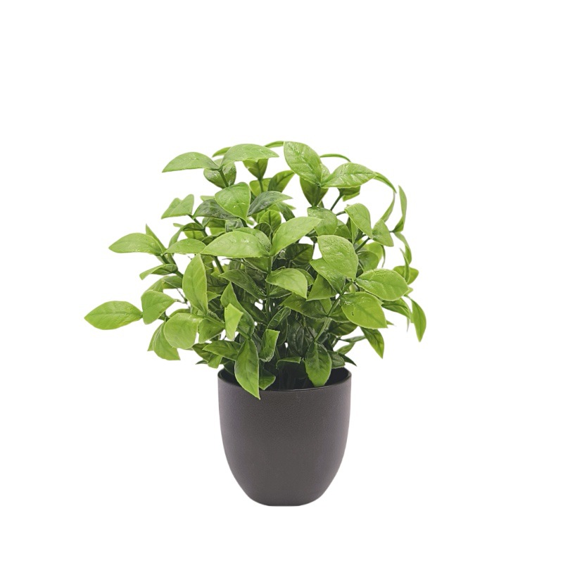 Bonsai Tanaman Hijau Simulasi, - Bonsai Garden Accessories ulasan dan harga