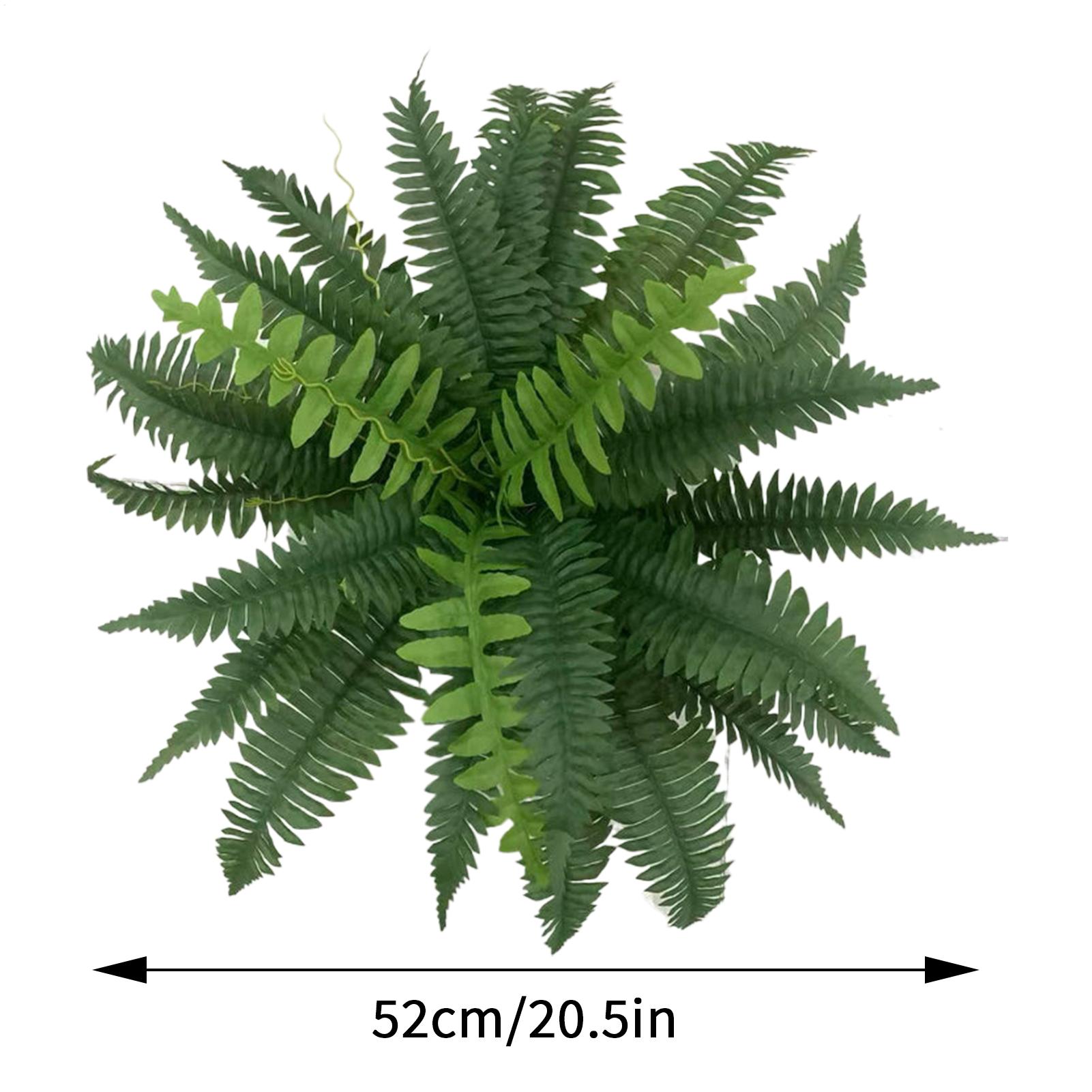 Tanaman Hias Palsu Boston Fern - Bonsai Garden Boston ulasan dan harga