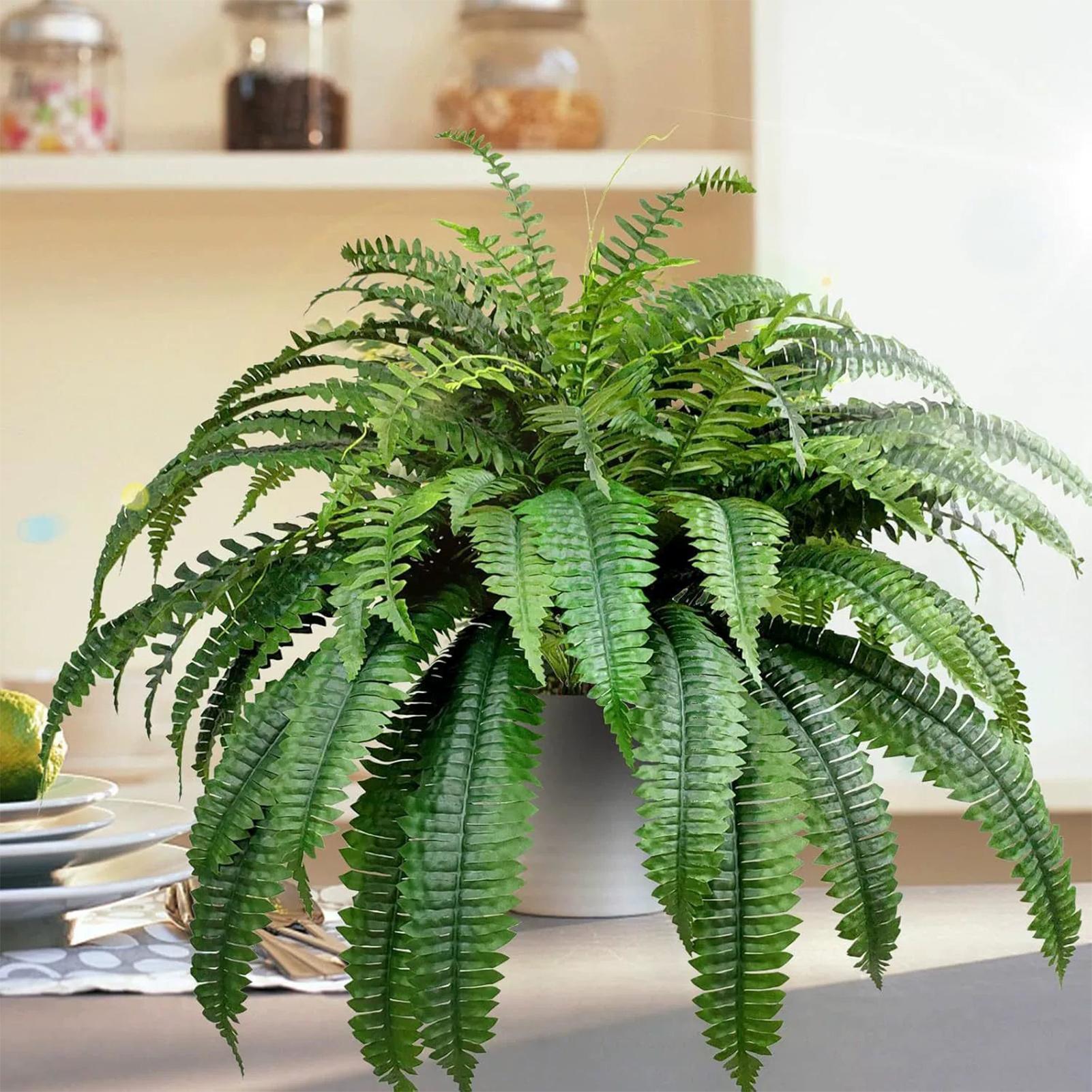 Tanaman Hias Palsu Boston Fern - Bonsai Garden Boston ulasan dan harga