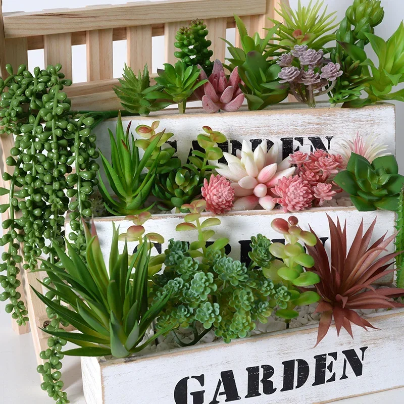 10/20 Buah Tanaman Sukulen PVC - Bonsai Garden Home ulasan dan harga