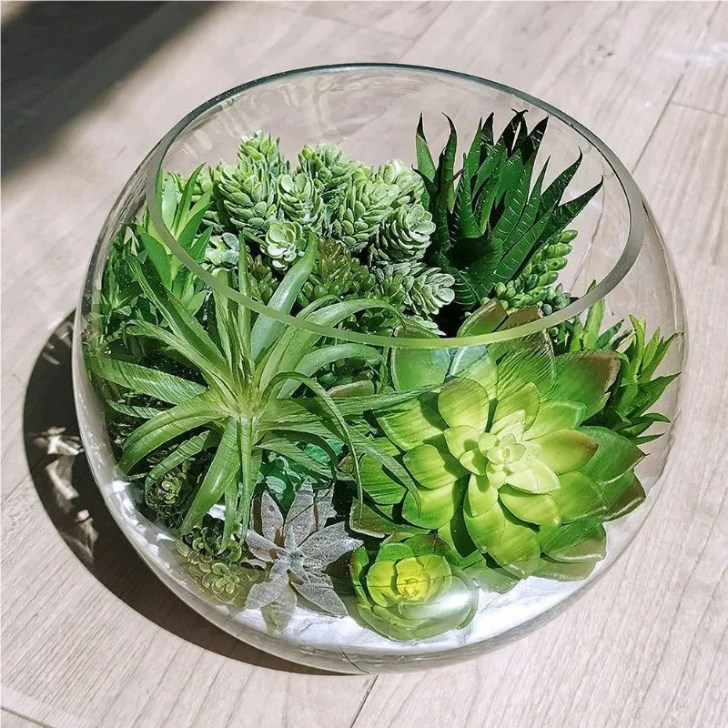 10/20 Buah Tanaman Sukulen PVC - Bonsai Garden Home ulasan dan harga